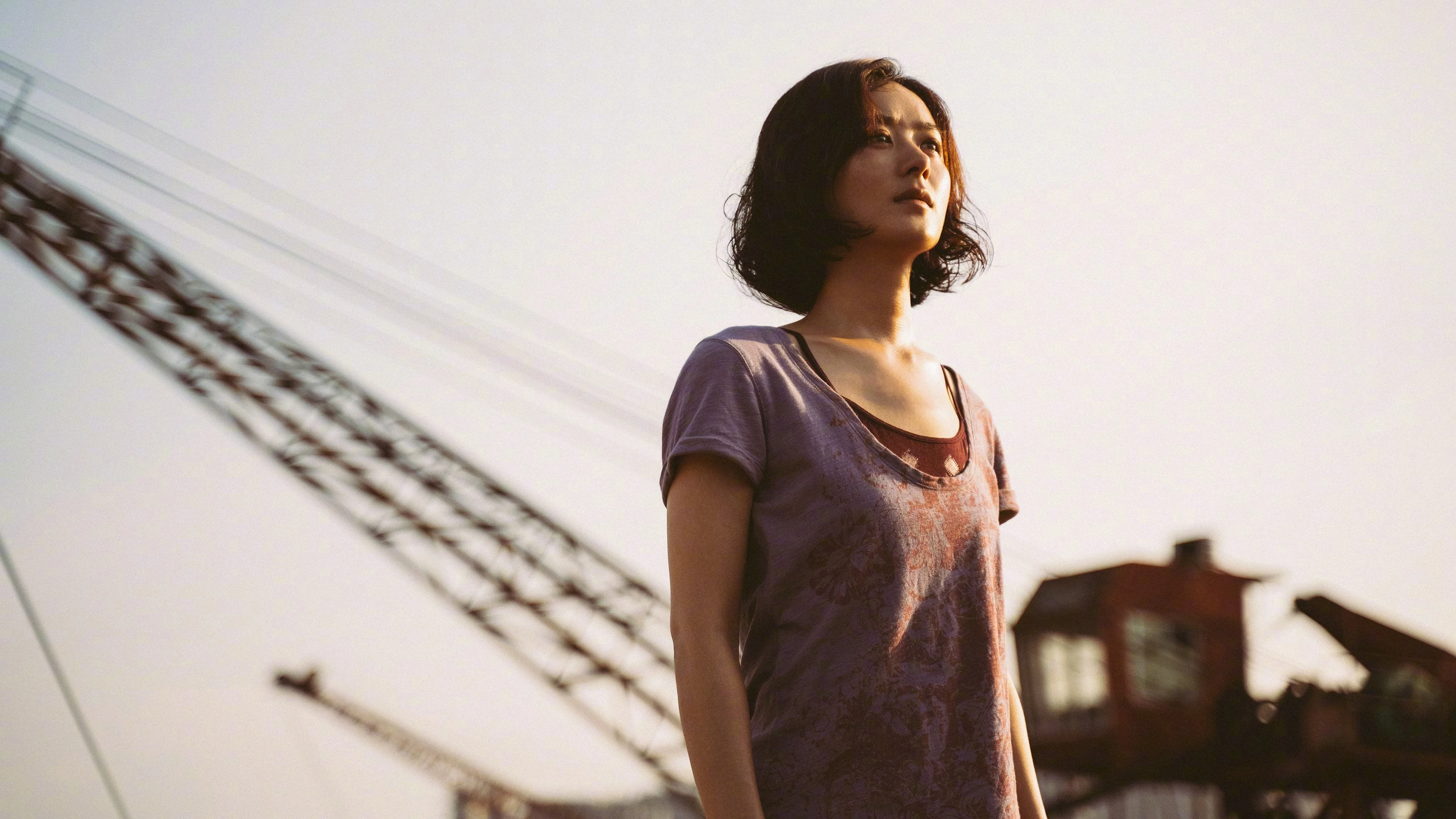 Hoa Hướng Dương