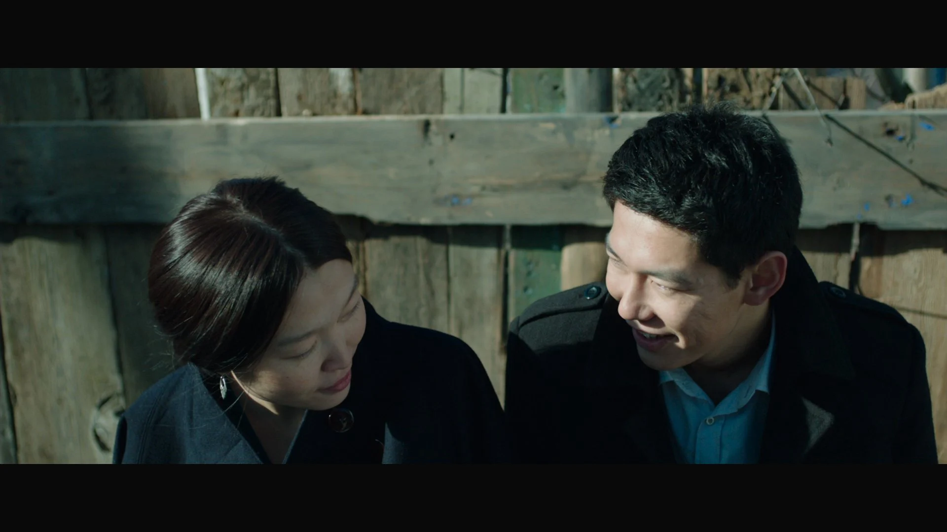 những con mòng biển