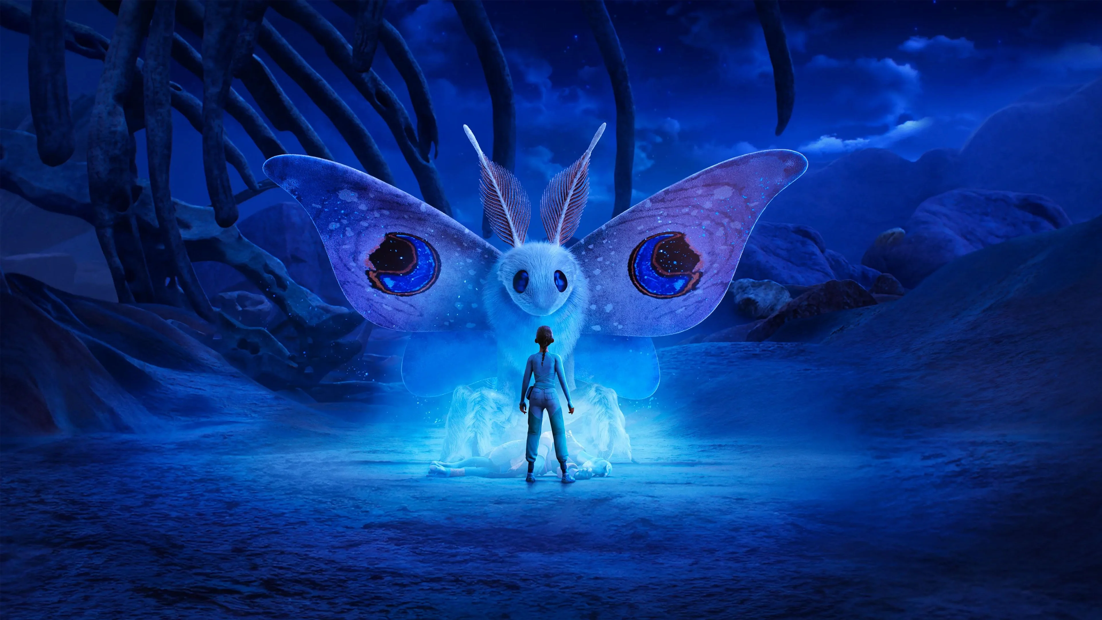 Đi Tìm WondLa (Phần 1) - WondLa (Season 1)